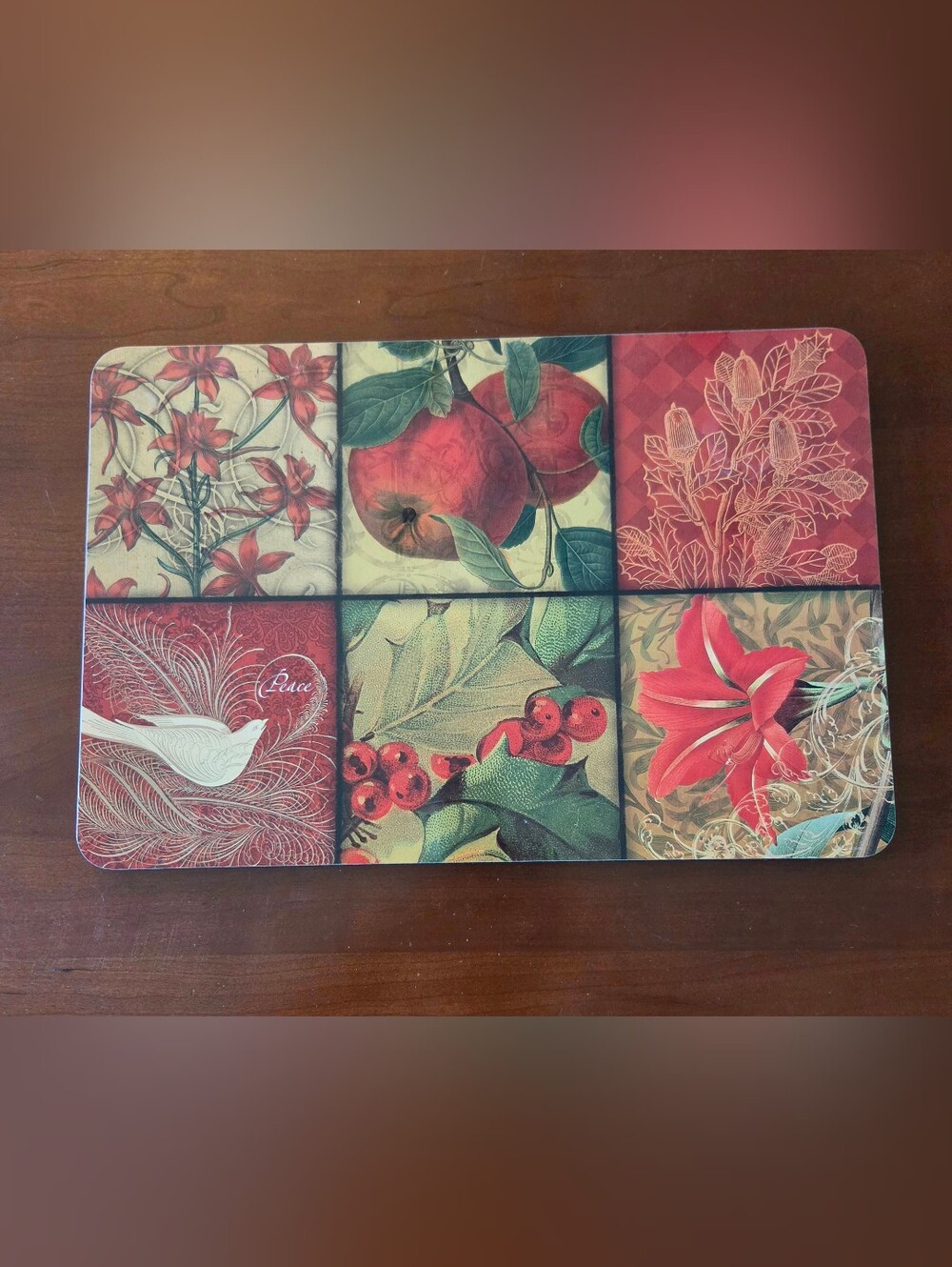 Set of 4 Holiday Motif Cork Backed Hard Placemats Floral 17 x 11 Christmas
